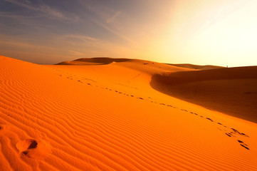 Fototapeta na wymiar Dune piasku na pustyni