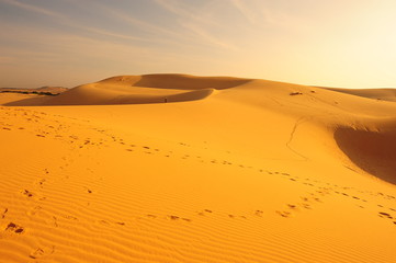 Sand Dunes in Deserts