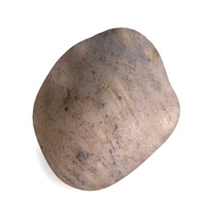 realistic 3d render of potato