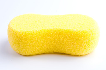 Sponge