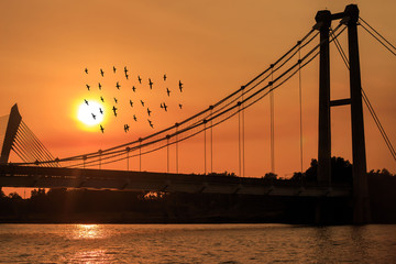 Silhouette image of birds flying near bridge during sunset.