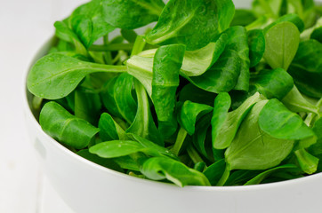 Lamb's lettuce, closeup