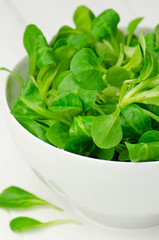 Lamb's lettuce