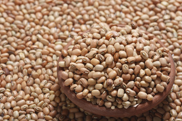 Obraz premium Soyabean – a legume often used like vegetable