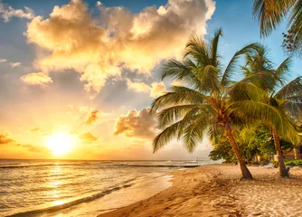 Fototapeten Barbados © Fyle
