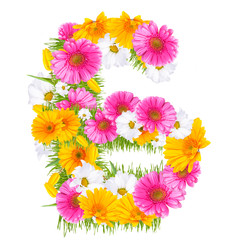 Spring color number with flower "6" 