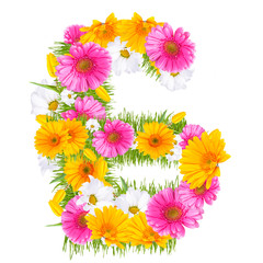 Spring color letter with flower "G" 