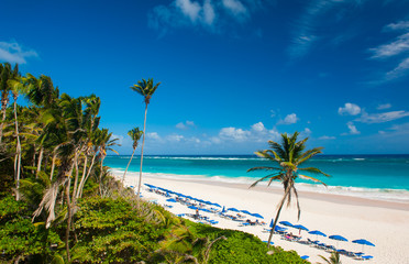 Fototapeta premium Crane Beach
