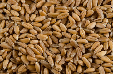 spelt, close up, texture
