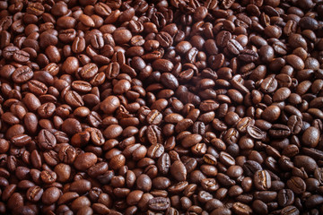 Coffee Seeds