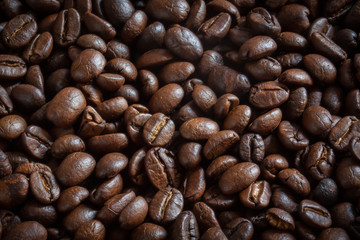 Coffee Seeds