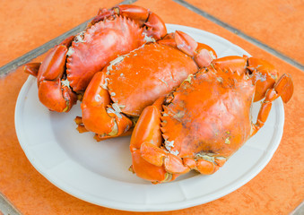 Grilled Crab on white plate