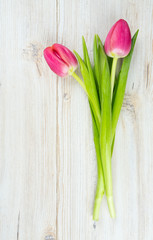 two pink tulips on white wooden surface