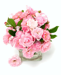pink roses in a glass vase