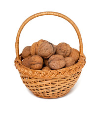 walnuts in basket isolated on white