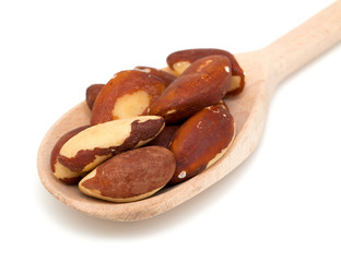 brazil nuts