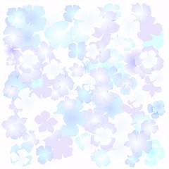 delicate flowers on a white background