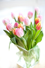 Frische bunte Tulpen