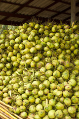 coconuts in storage
