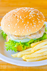 Hamburger and french fries , fast food
