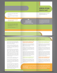 Vector empty trifold brochure template design