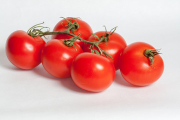 tomates sur fond blanc