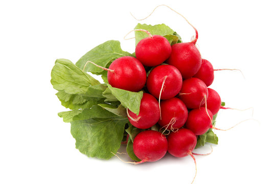 Bunch of radishes on a white background. Healthy fresh vegetable