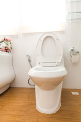 Modern house bathroom interior