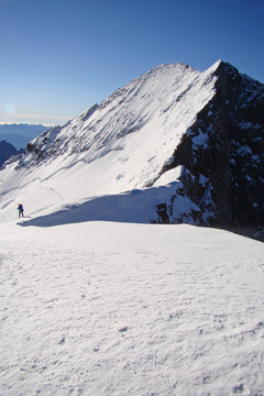 La barre des Ecrins (4102 m), depuis le d&ocirc;me des Ecrins (Alpes)