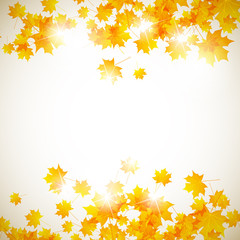 autumn background