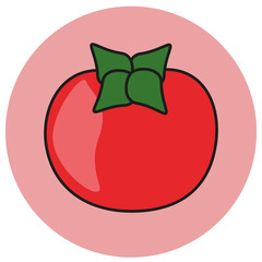 tomate illustration vektor