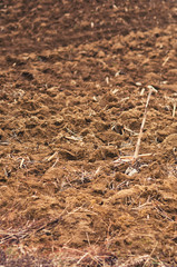 Plowed agriculture