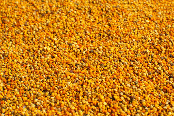 bee pollen