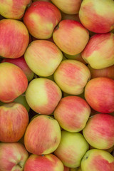 Fresh organic red and yellow apples background