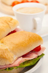 Italian panini sandwich