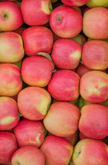 Organic red and yellow apples background