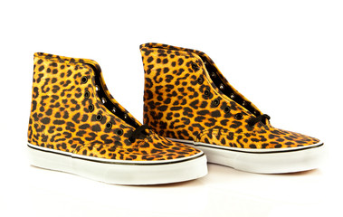 modern  sport shoes on white background