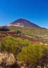 Teide - Teneriffa 17