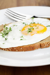 Spiegelei mit Kresse auf Mehrkornbrot
