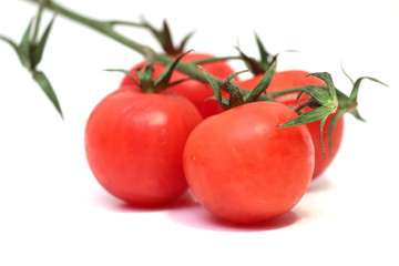 pomodori