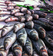 Heap Fresh Sea Fish on Ice