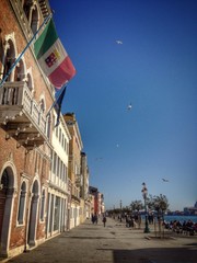 sunny day in venice © Tatiana Zaghet