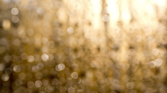 abstract sparkling curtain background