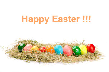 colorful easter eggs in hay