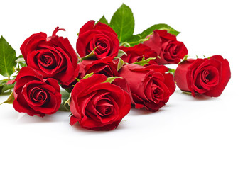 red roses