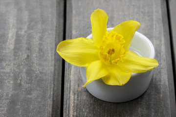 Single daffodil flower in white ceramic pot on wooden table
