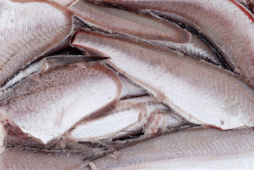 Frozen hake fish as food background