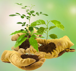 concept bourse d'échange de plantes entre jardiniers