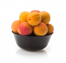 apricot on white background