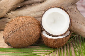 Coconut on palm leaf